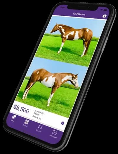 Find Equine app - bringing an idea to life