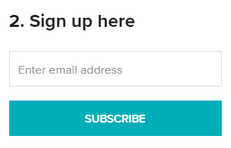 sign up here newsletter example