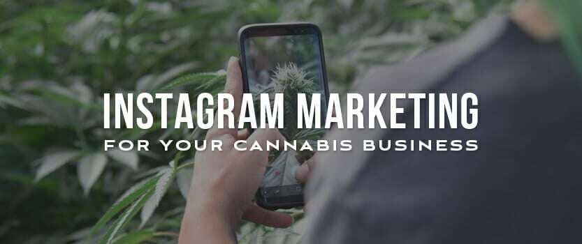 Instagram Marketing for your Cannabis Business